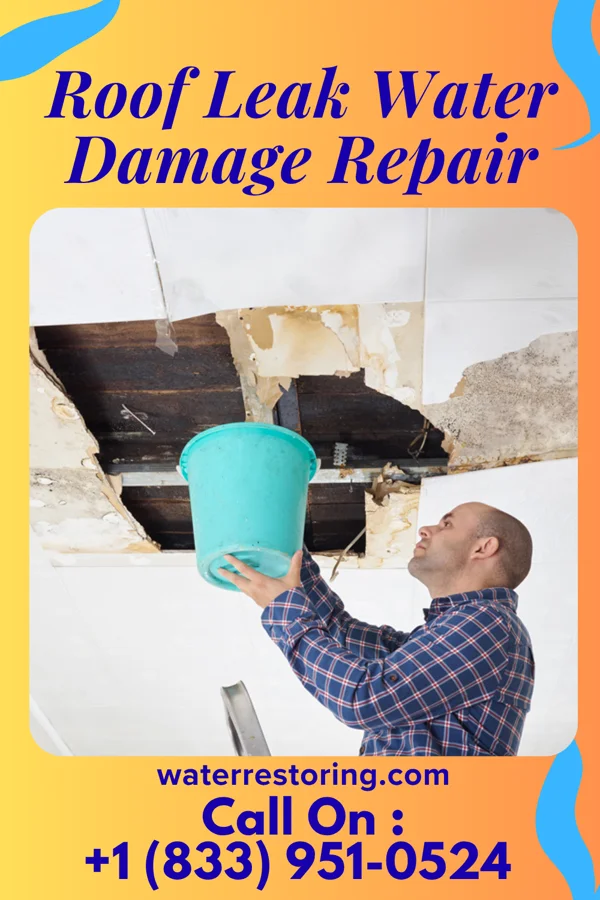 Roof Leak Water Damage Repair in Walnut, KS